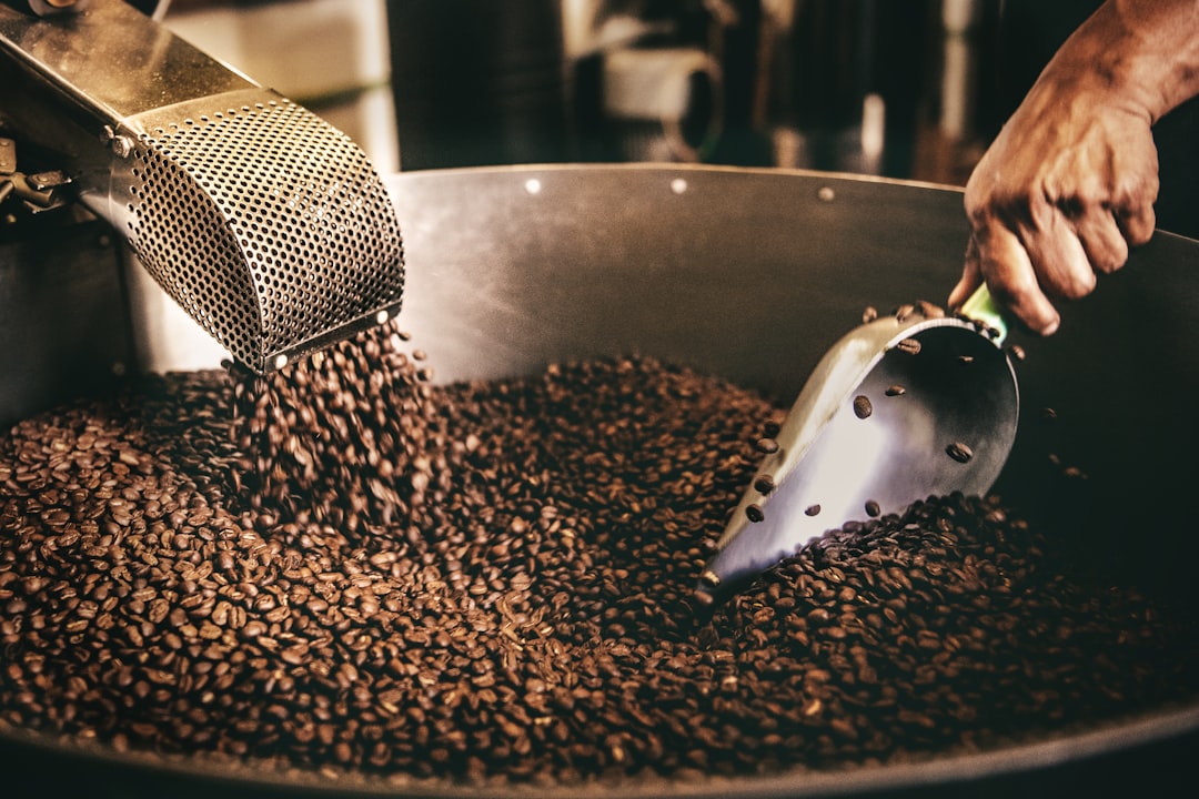 Fèves de cacao brutes et chocolat artisanal